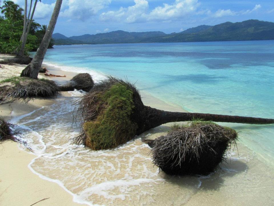 Ferienwohnung Gecko Azul Las Galeras Exterior foto